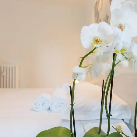 Fondazione Prada - Exclusive Loft Of Cinema ☆☆☆☆☆ 아파트 *